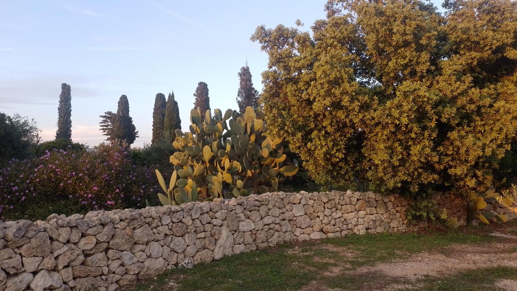 Agriturismo Villa Coluccia Мартано Екстериор снимка